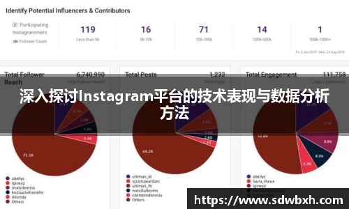 深入探讨Instagram平台的技术表现与数据分析方法