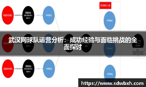 武汉网球队运营分析：成功经验与面临挑战的全面探讨