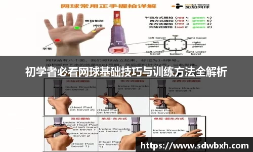初学者必看网球基础技巧与训练方法全解析